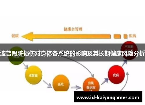 波普肾脏损伤对身体各系统的影响及其长期健康风险分析 波普肾脏损伤对身体各系统的影响及其长期健康风险分析