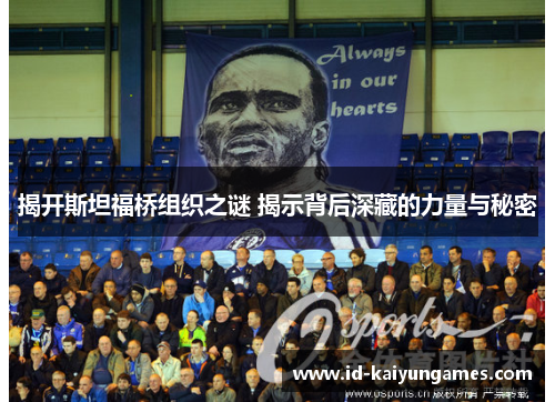 揭开斯坦福桥组织之谜 揭示背后深藏的力量与秘密