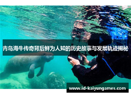 青岛海牛传奇背后鲜为人知的历史故事与发展轨迹揭秘
